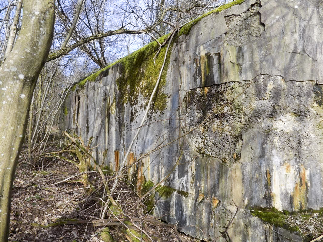 Ligne Maginot - TROIS FONTAINES SUD - (Blockhaus lourd type STG / STG-FCR - Simple) -  - R Tucker