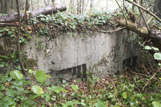 Ligne Maginot - BB14-A - LES ROSSIGNOLS - (Blockhaus pour arme infanterie) - Façade Sud - AALMA - www.lignemaginot.com