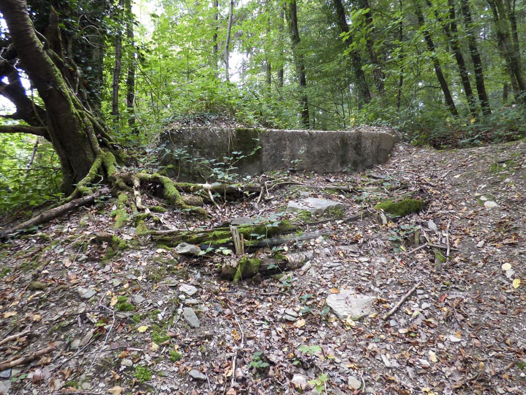 Ligne Maginot - BB14-A - LES ROSSIGNOLS - (Blockhaus pour arme infanterie) -  - JMBrams