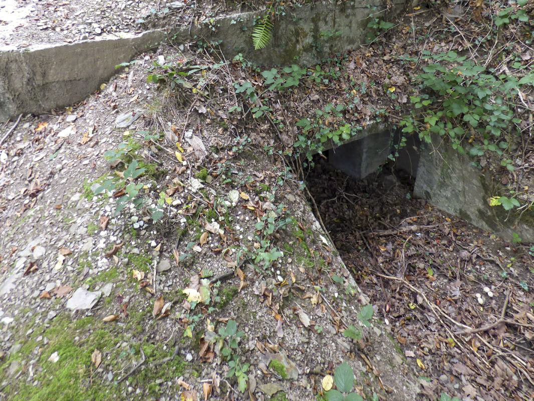 Ligne Maginot - BB14-A - LES ROSSIGNOLS - (Blockhaus pour arme infanterie) -  - JMBrams