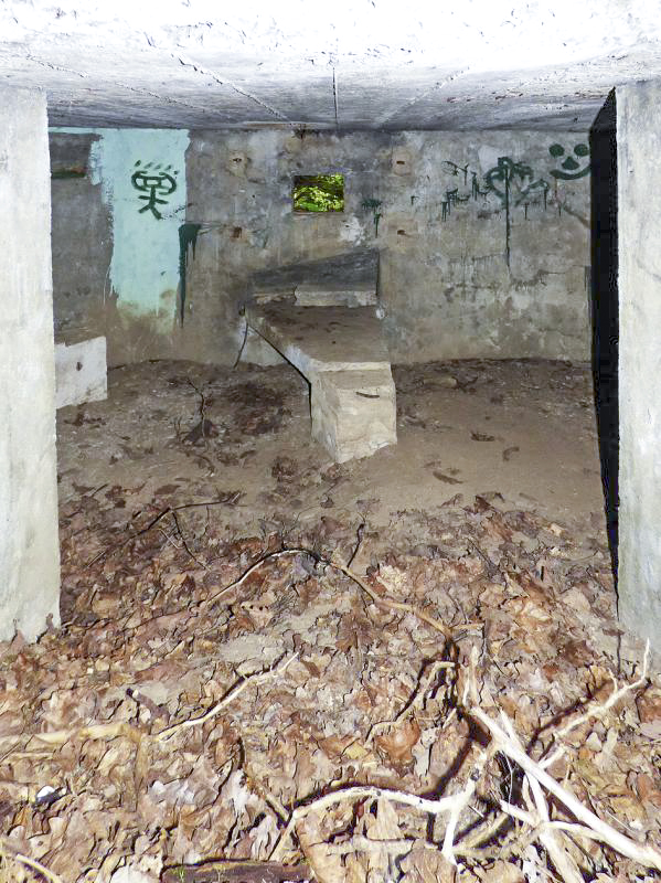 Ligne Maginot - BB14-A - LES ROSSIGNOLS - (Blockhaus pour arme infanterie) -  - JMBrams