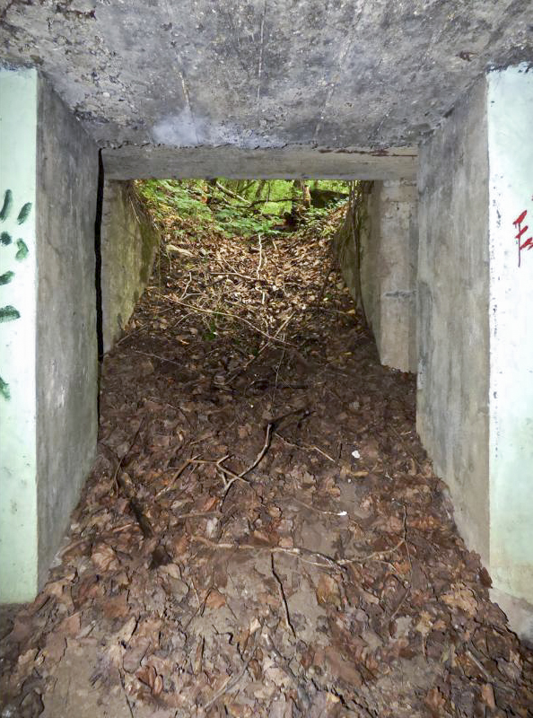 Ligne Maginot - BB14-A - LES ROSSIGNOLS - (Blockhaus pour arme infanterie) -  - JMBrams