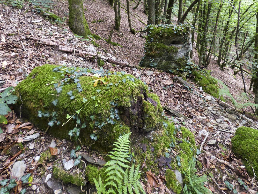 Ligne Maginot - BB14-A - LES ROSSIGNOLS - (Blockhaus pour arme infanterie) - Piliers du treuil de ravitallement - JMBrams