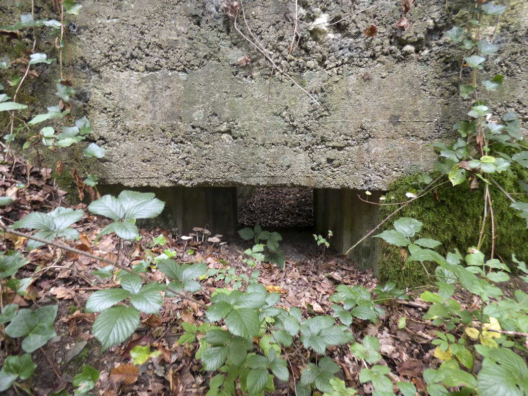 Ligne Maginot - BB62-E - BRAUX SUD 2 - (Blockhaus pour canon) -  - JMBrams