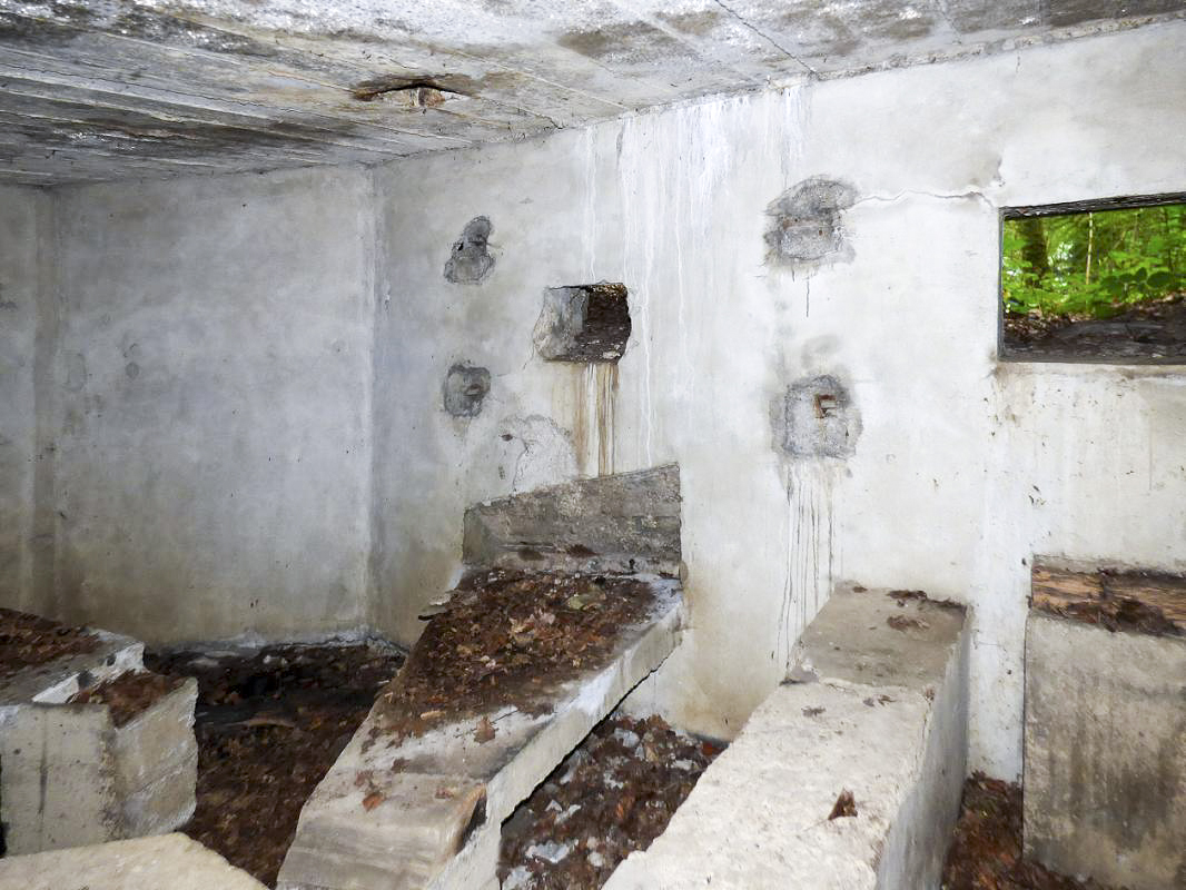 Ligne Maginot - BB62-E - BRAUX SUD 2 - (Blockhaus pour canon) -  - JMBrams