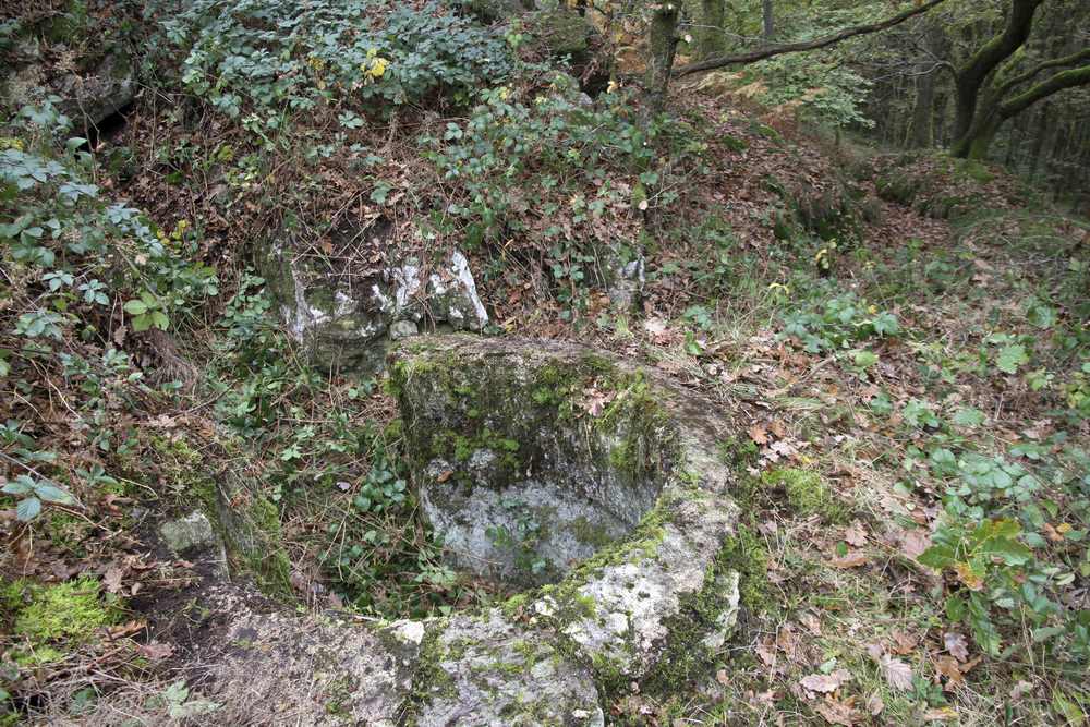 Ligne Maginot - Bb63-B - GRANDS DUCS Sud - L'emplacement de la tourelle après un bon débroussaillage. La tranchée d'accès existe encore - Alain Perouffe