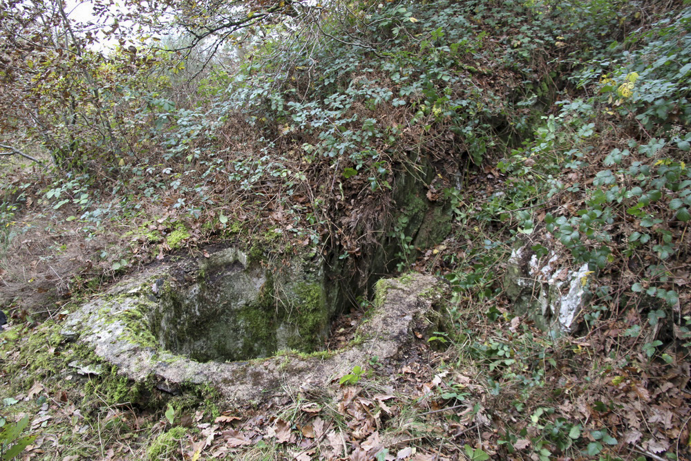 Ligne Maginot - Bb63-B - GRANDS DUCS Sud - L'emplacement de la tourelle après un bon débroussaillage. La tranchée d'accès existe encore - Alain Perouffe