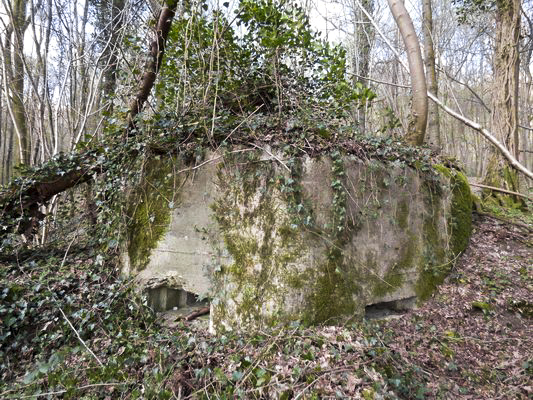 Ligne Maginot - BB64 - CROIX LA MOUCHE - (Blockhaus pour canon) - Façade Est - AALMA - www.lignemaginot.com