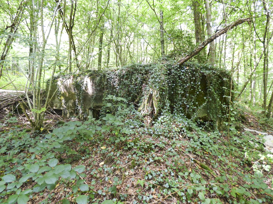 Ligne Maginot - BB64 - CROIX LA MOUCHE - (Blockhaus pour canon) -  - JMBrams