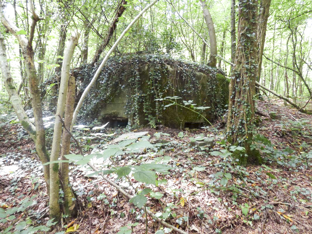 Ligne Maginot - BB64 - CROIX LA MOUCHE - (Blockhaus pour canon) -  - JMBrams