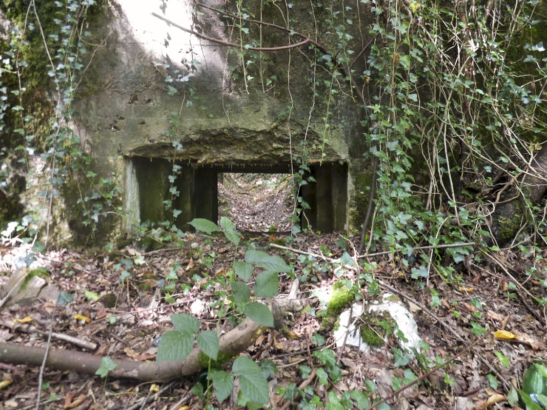 Ligne Maginot - BB64 - CROIX LA MOUCHE - (Blockhaus pour canon) - Créneau AC frontal - JMBrams