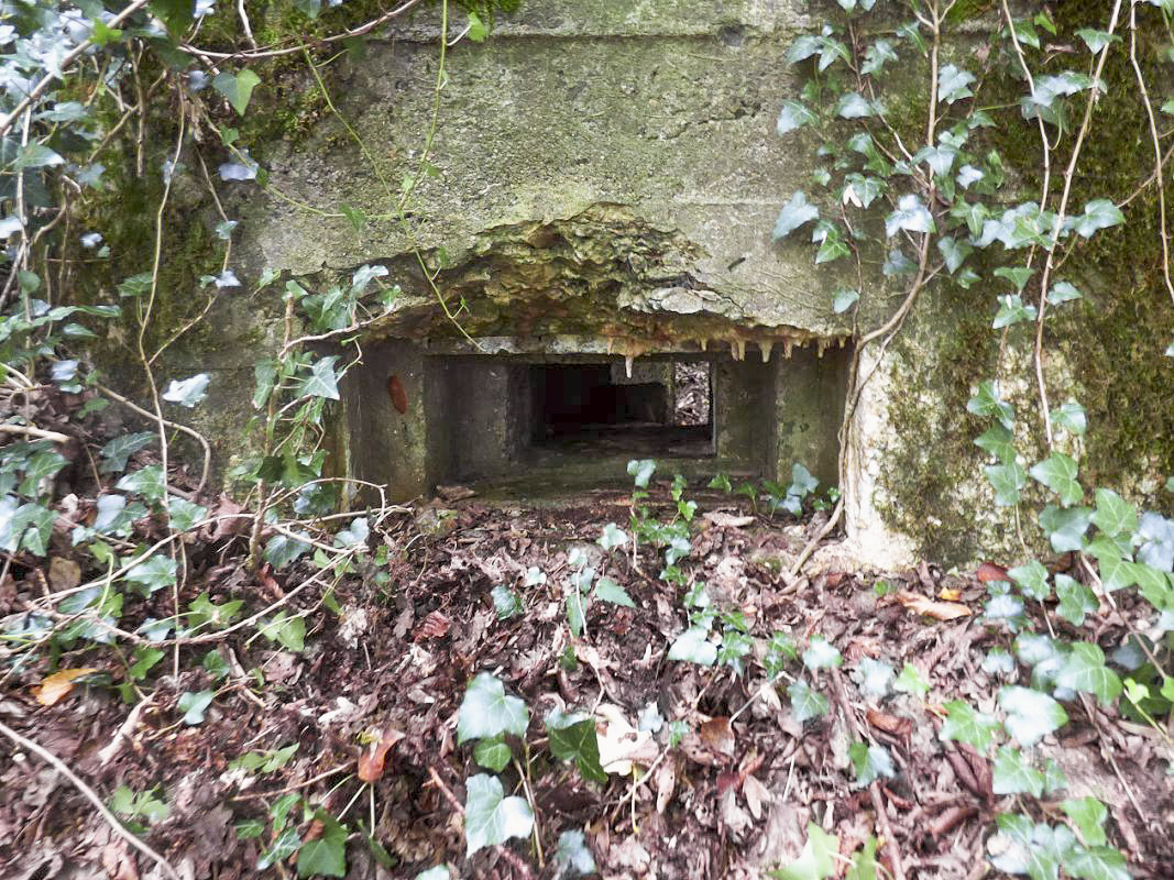Ligne Maginot - BB64 - CROIX LA MOUCHE - (Blockhaus pour canon) - Créneau FM/obs - JMBrams