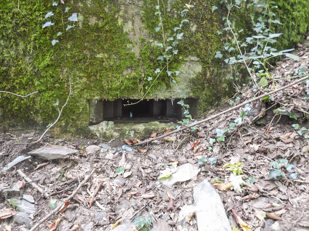 Ligne Maginot - BB64 - CROIX LA MOUCHE - (Blockhaus pour canon) - Créneau mit à gauche du créneau AC - JMBrams