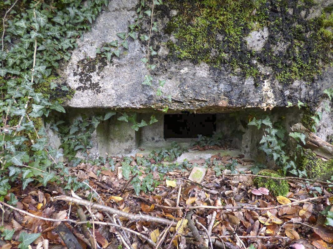 Ligne Maginot - BB66-C - LES AGACES - (Blockhaus pour arme infanterie) -  - JMBrams