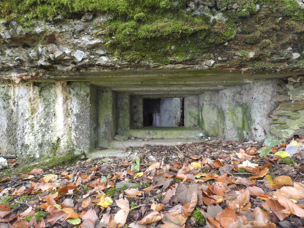 Ligne Maginot - BB67-B - ROCHE MARTIN - (Blockhaus pour arme infanterie) -  - JMBrams