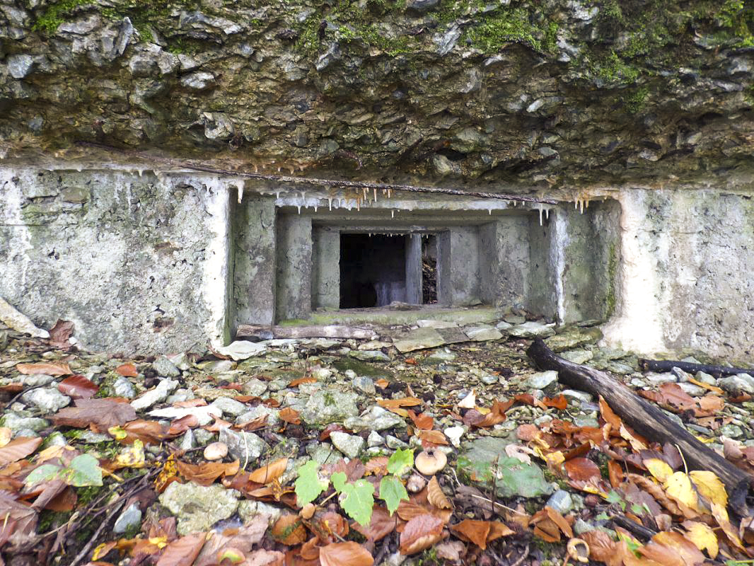 Ligne Maginot - BB67-B - ROCHE MARTIN - (Blockhaus pour arme infanterie) -  - JMBrams