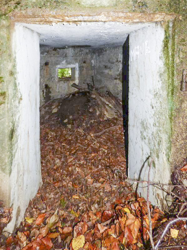 Ligne Maginot - BB67-B - ROCHE MARTIN - (Blockhaus pour arme infanterie) -  - JMBrams