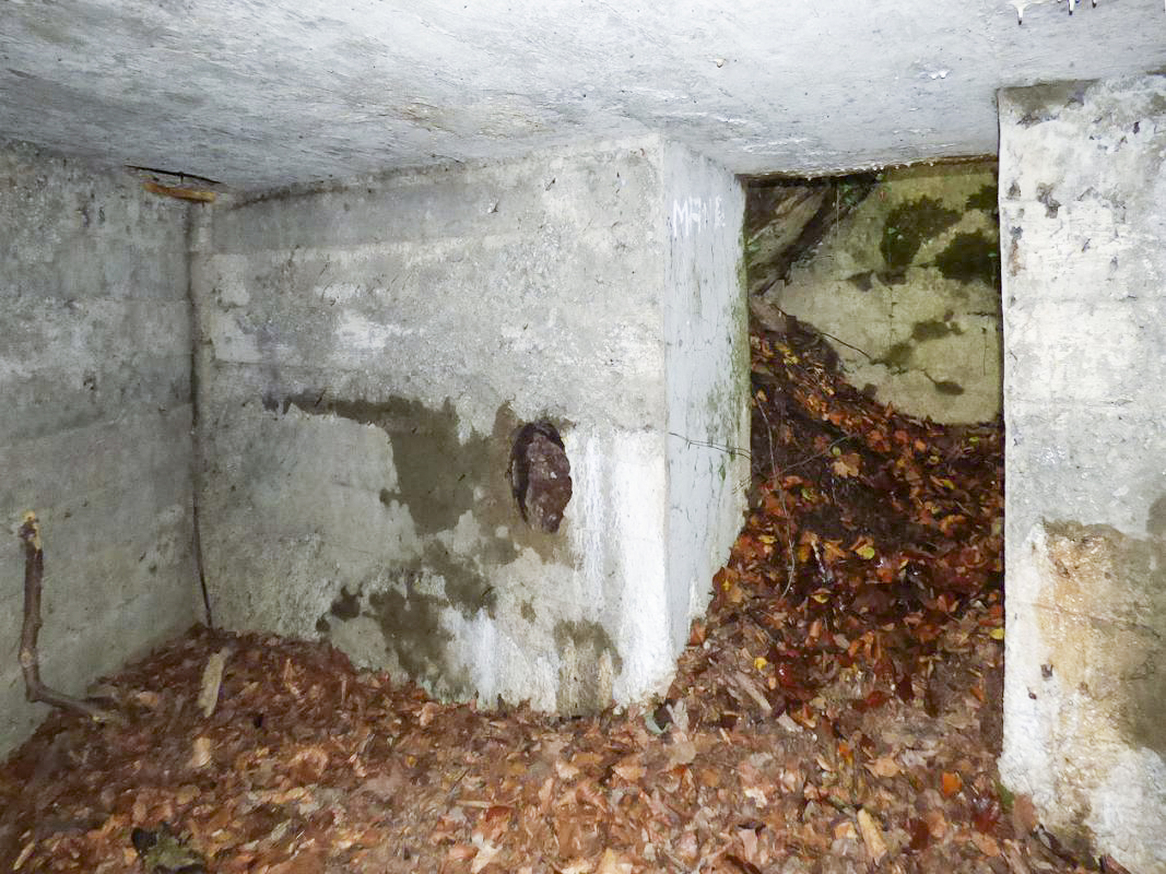 Ligne Maginot - BB67-B - ROCHE MARTIN - (Blockhaus pour arme infanterie) -  - JMBrams