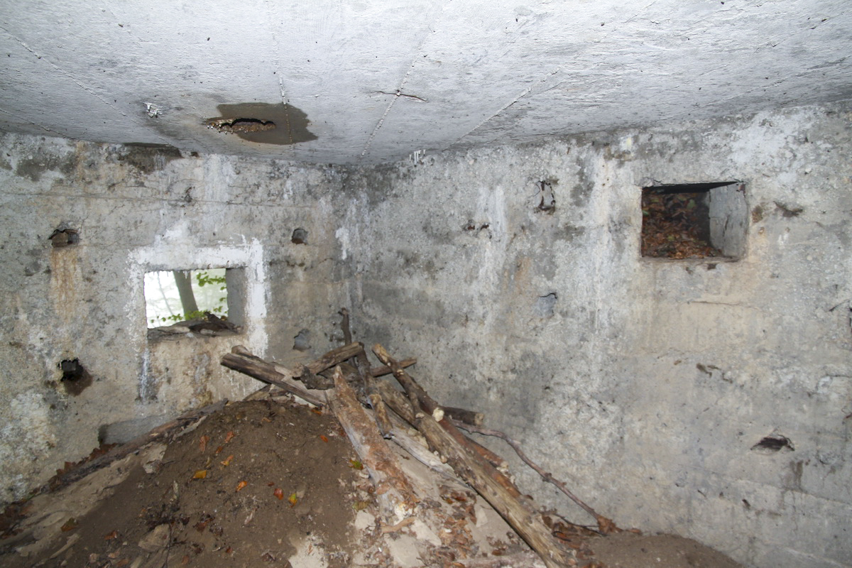 Ligne Maginot - BB67-B - ROCHE MARTIN - (Blockhaus pour arme infanterie) -  - Alain Perouffe
