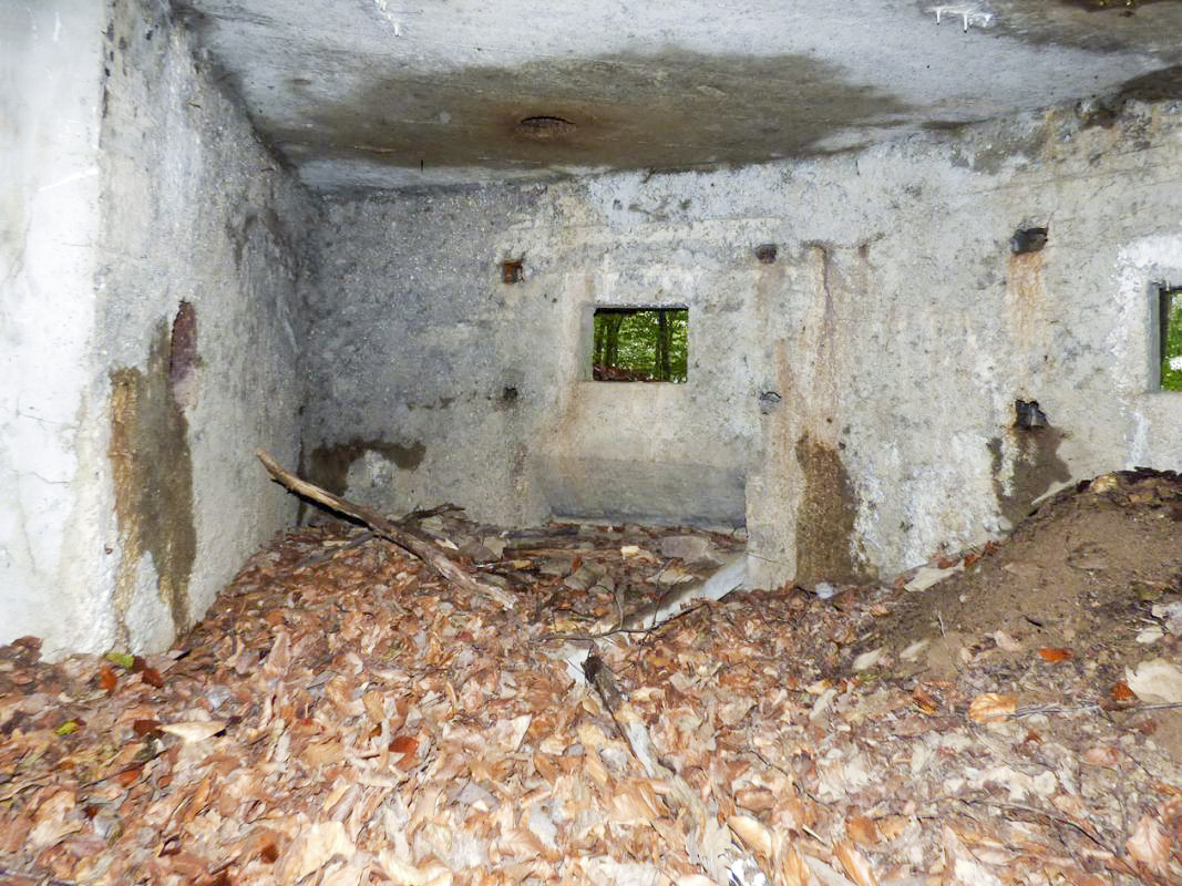 Ligne Maginot - BB67-B - ROCHE MARTIN - (Blockhaus pour arme infanterie) -  - JMBrams