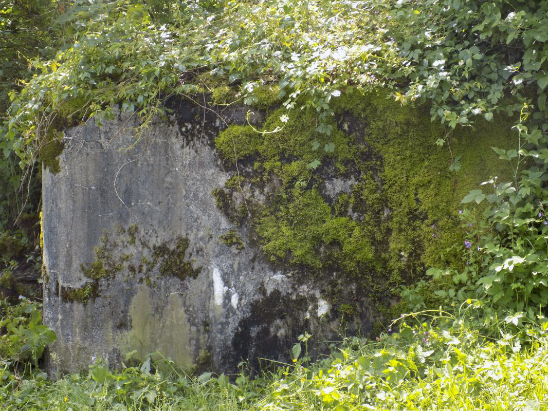 Ligne Maginot - BB67-C - WEBES DE MONTCY EST - (Blockhaus pour arme infanterie) - Face nord-est - R Tucker