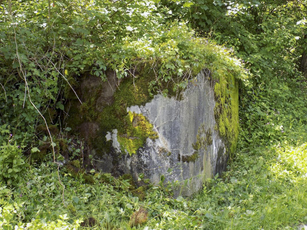 Ligne Maginot - BB67-C - WEBES DE MONTCY EST - (Blockhaus pour arme infanterie) - Faces sud-est et nord-est - R Tucker