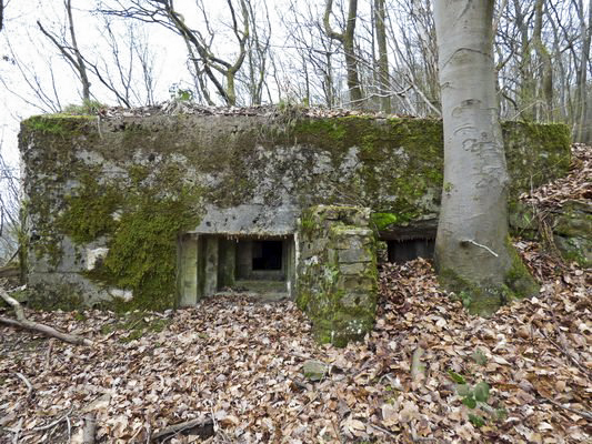 Ligne Maginot - BB67 - WEBES DE MONTCY - (Blockhaus pour arme infanterie) - Créneaux Nord (flanquement principal) - AALMA - www.lignemaginot.com