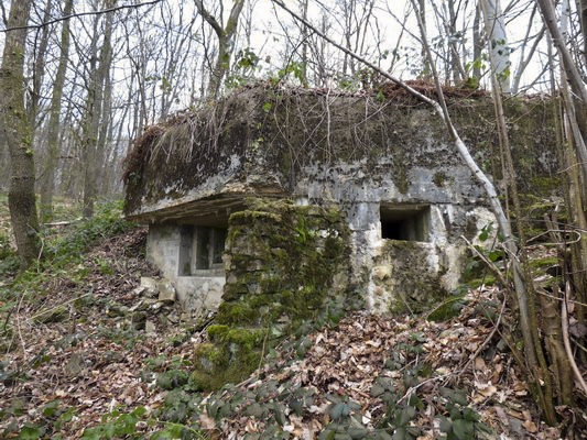 Ligne Maginot - BB67 - WEBES DE MONTCY - (Blockhaus pour arme infanterie) - Créneaux d'observation (Est) et mitrailleuse en flanquement secondaire (Sud-Est) - AALMA - www.lignemaginot.com