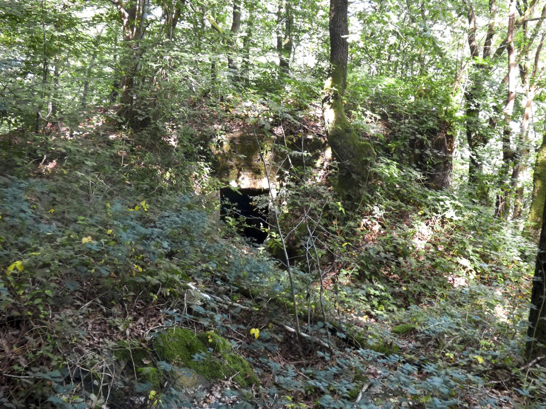 Ligne Maginot - BB67 - WEBES DE MONTCY - (Blockhaus pour arme infanterie) -  - JMBrams
