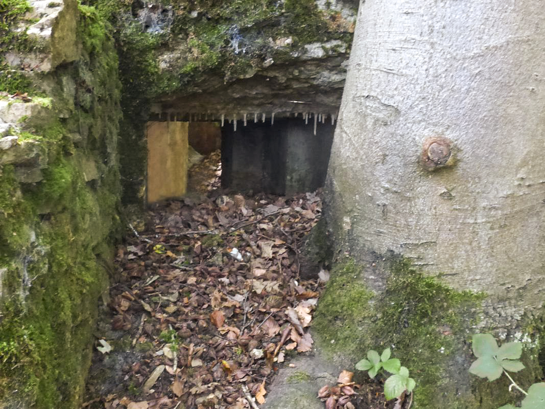 Ligne Maginot - BB67 - WEBES DE MONTCY - (Blockhaus pour arme infanterie) -  - JMBrams