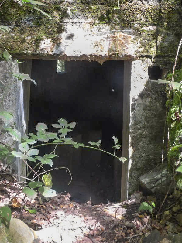 Ligne Maginot - BB67 - WEBES DE MONTCY - (Blockhaus pour arme infanterie) -  - JMBrams