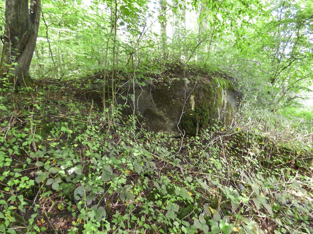 Ligne Maginot - BB68 - CHATEAU DE LA PIERRONNERIE - (Blockhaus pour arme infanterie) -  - JMBrams