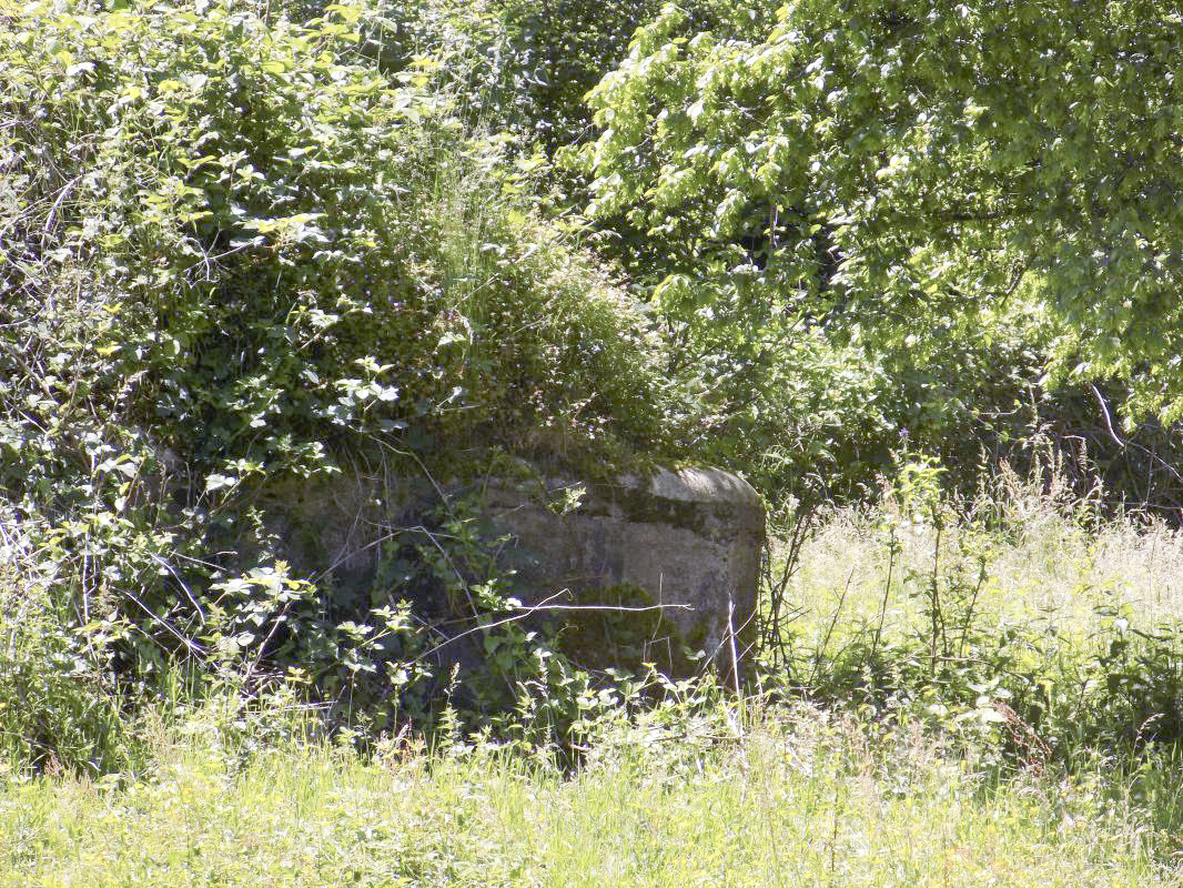 Ligne Maginot - BB69-B - BOIS DE LA PIERRONNERIE SUD - (Blockhaus pour arme infanterie) - Pris de la voie verte, de l'est - R Tucker