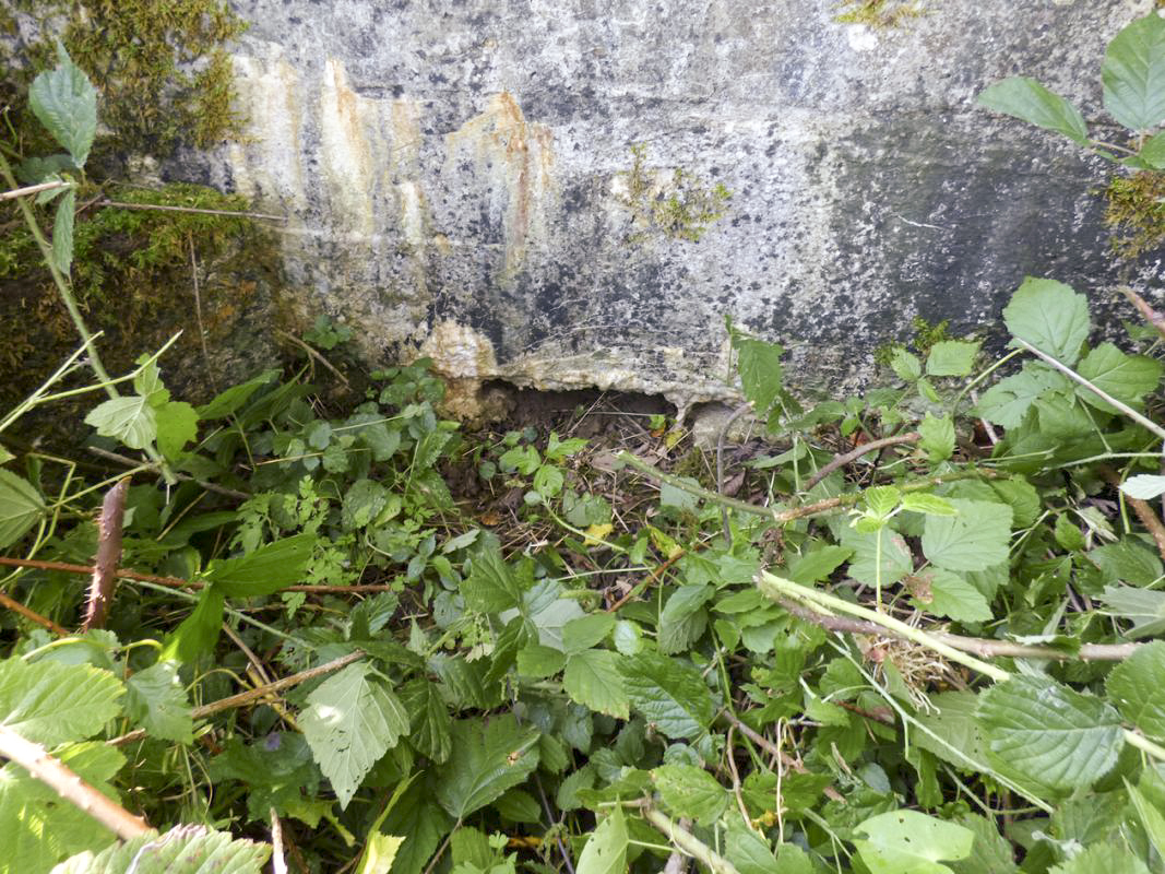 Ligne Maginot - BB69-B - BOIS DE LA PIERRONNERIE SUD - (Blockhaus pour arme infanterie) -  - JMBrams