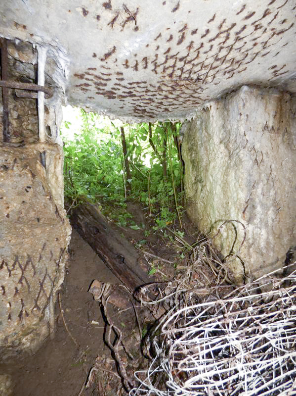 Ligne Maginot - BB69-B - BOIS DE LA PIERRONNERIE SUD - (Blockhaus pour arme infanterie) -  - JMBrams