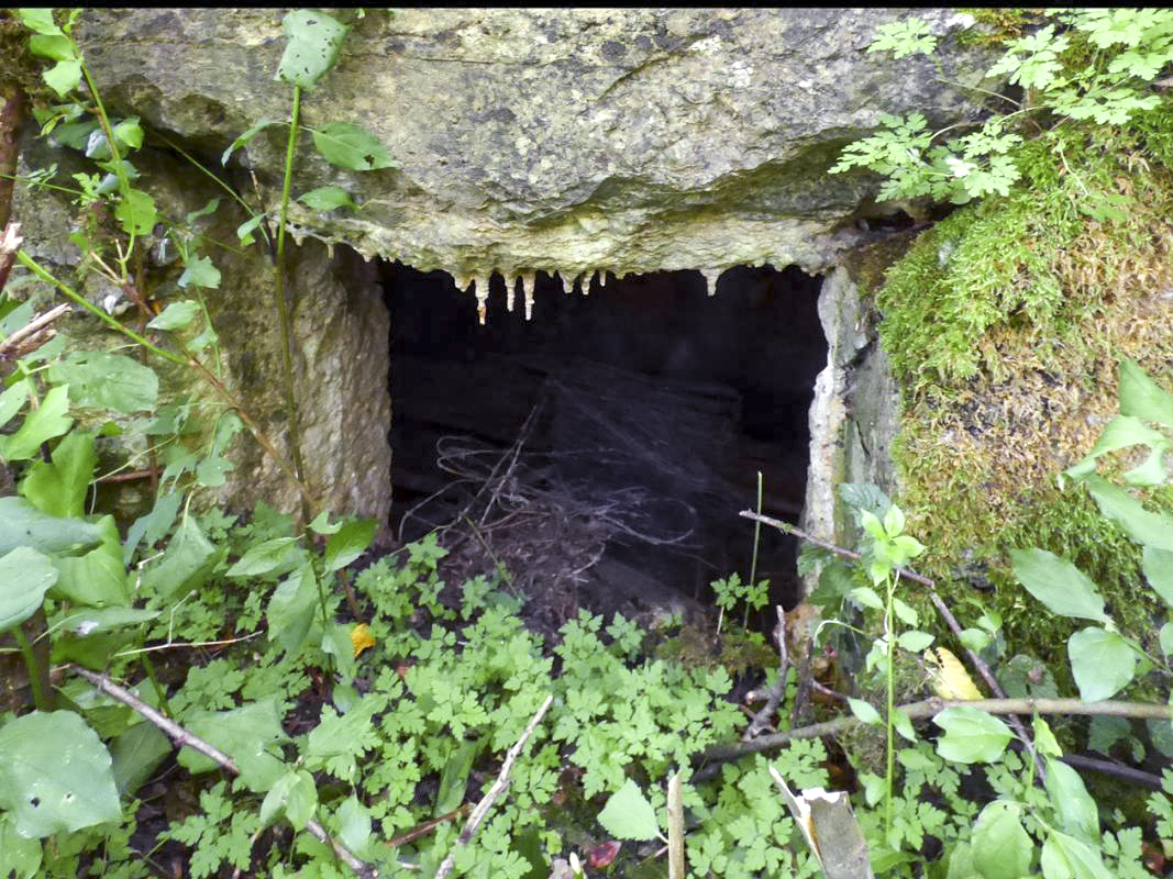 Ligne Maginot - BB69-B - BOIS DE LA PIERRONNERIE SUD - (Blockhaus pour arme infanterie) -  - JMBrams