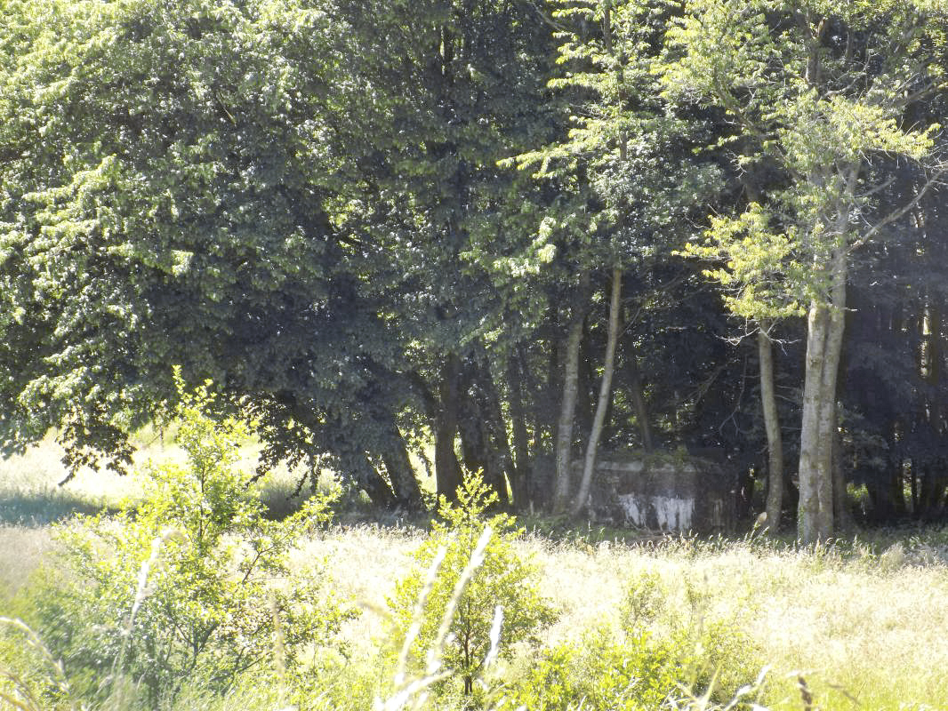Ligne Maginot - BB69 - BOIS DE LA PIERRONNERIE NORD - (Blockhaus pour arme infanterie) -  - R Tucker