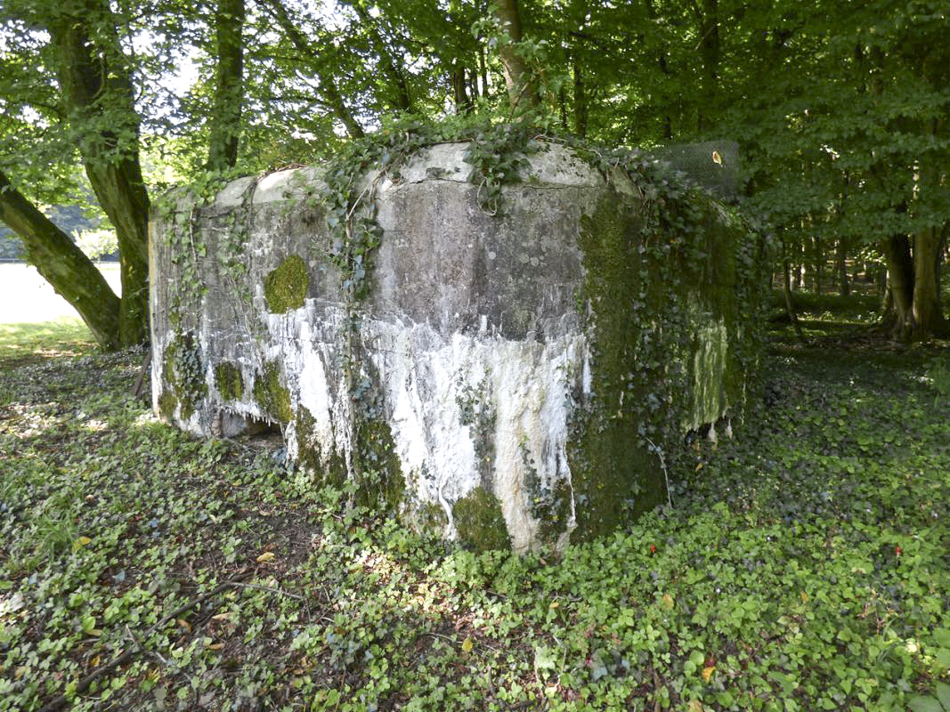 Ligne Maginot - BB69 - BOIS DE LA PIERRONNERIE NORD - (Blockhaus pour arme infanterie) -  - JMBrams