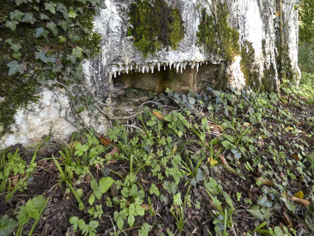 Ligne Maginot - BB69 - BOIS DE LA PIERRONNERIE NORD - (Blockhaus pour arme infanterie) -  - JMBrams