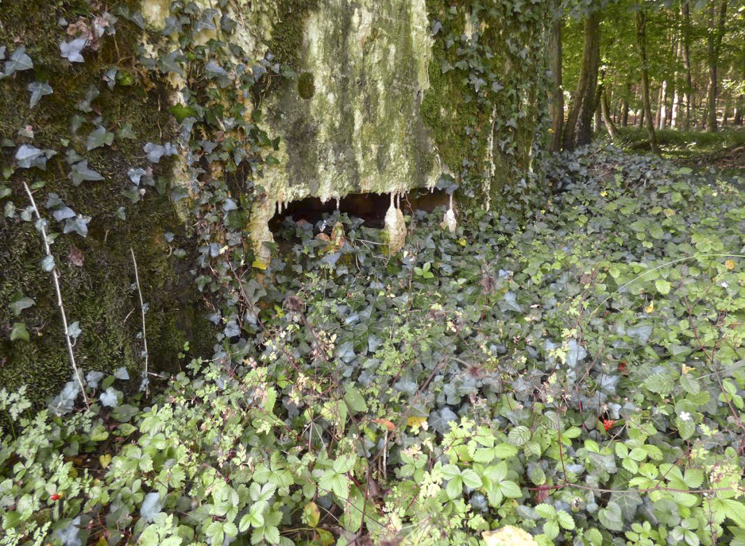 Ligne Maginot - BB69 - BOIS DE LA PIERRONNERIE NORD - (Blockhaus pour arme infanterie) -  - JMBrams