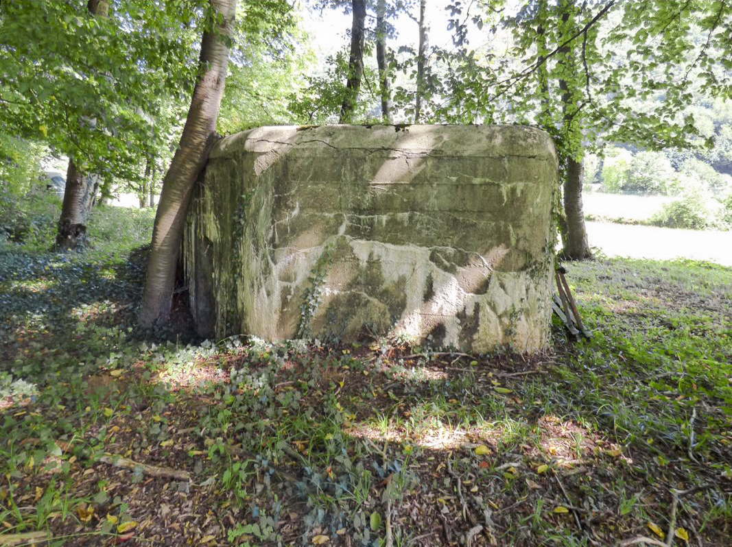 Ligne Maginot - BB69 - BOIS DE LA PIERRONNERIE NORD - (Blockhaus pour arme infanterie) -  - JMBrams