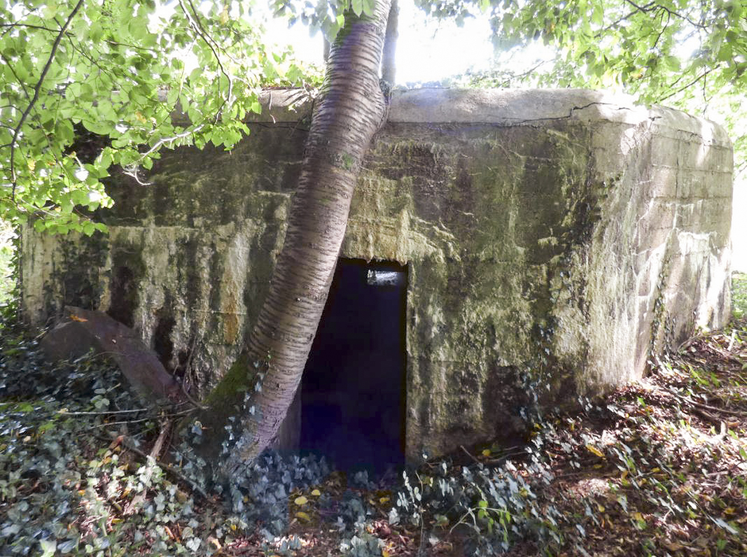 Ligne Maginot - BB69 - BOIS DE LA PIERRONNERIE NORD - (Blockhaus pour arme infanterie) -  - JMBrams