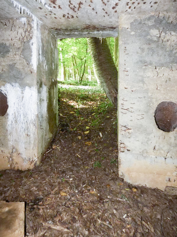 Ligne Maginot - BB69 - BOIS DE LA PIERRONNERIE NORD - (Blockhaus pour arme infanterie) -  - JMBrams