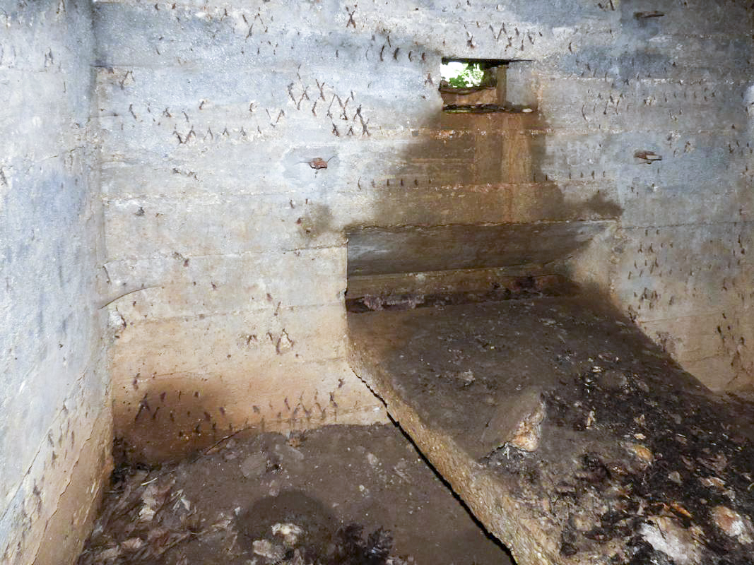 Ligne Maginot - BB69 - BOIS DE LA PIERRONNERIE NORD - (Blockhaus pour arme infanterie) -  - JMBrams