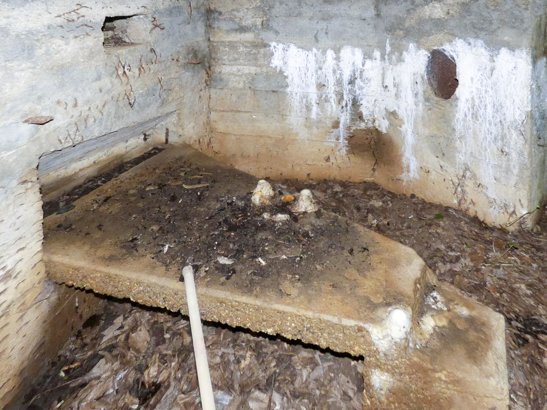 Ligne Maginot - BB69 - BOIS DE LA PIERRONNERIE NORD - (Blockhaus pour arme infanterie) -  - JMBrams