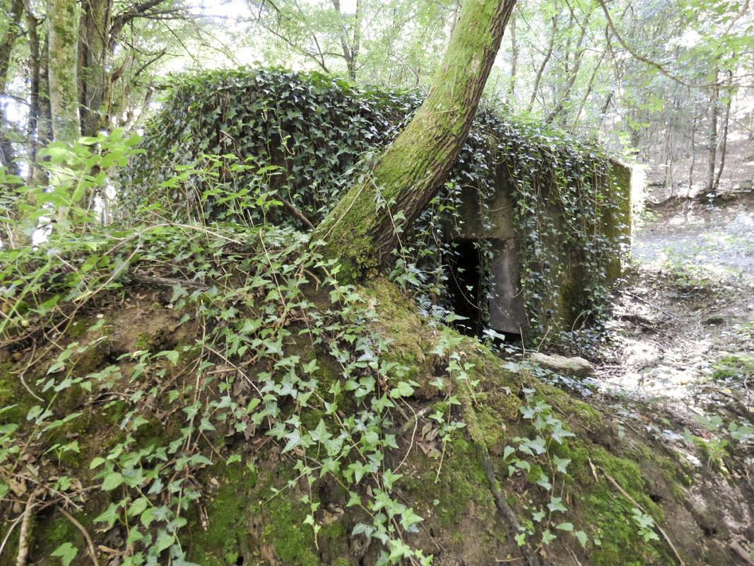 Ligne Maginot - BB71-B - LA PRE - (Blockhaus pour canon) -  - JMBrams