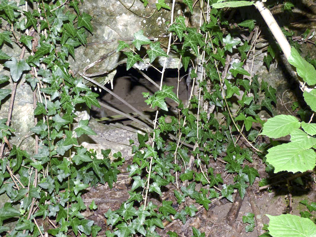 Ligne Maginot - BB71-B - LA PRE - (Blockhaus pour canon) -  - JMBrams
