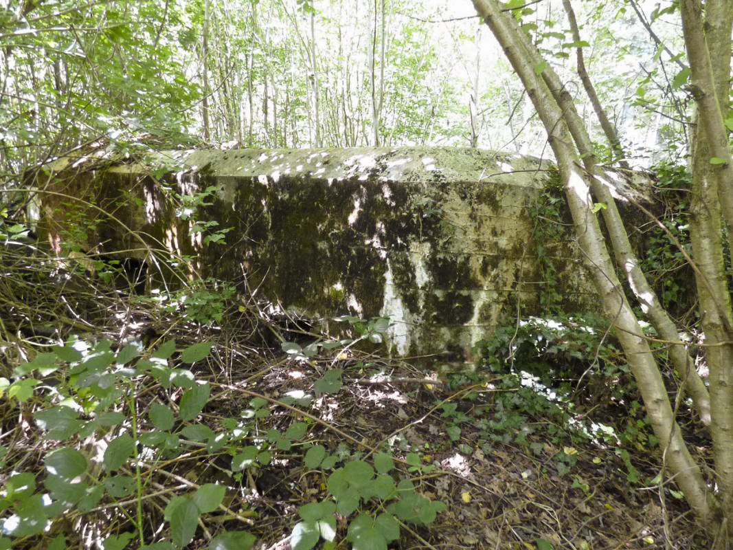 Ligne Maginot - BB71-E - CHAMPEAUX SUD - (Blockhaus pour canon) -  - JMBrams