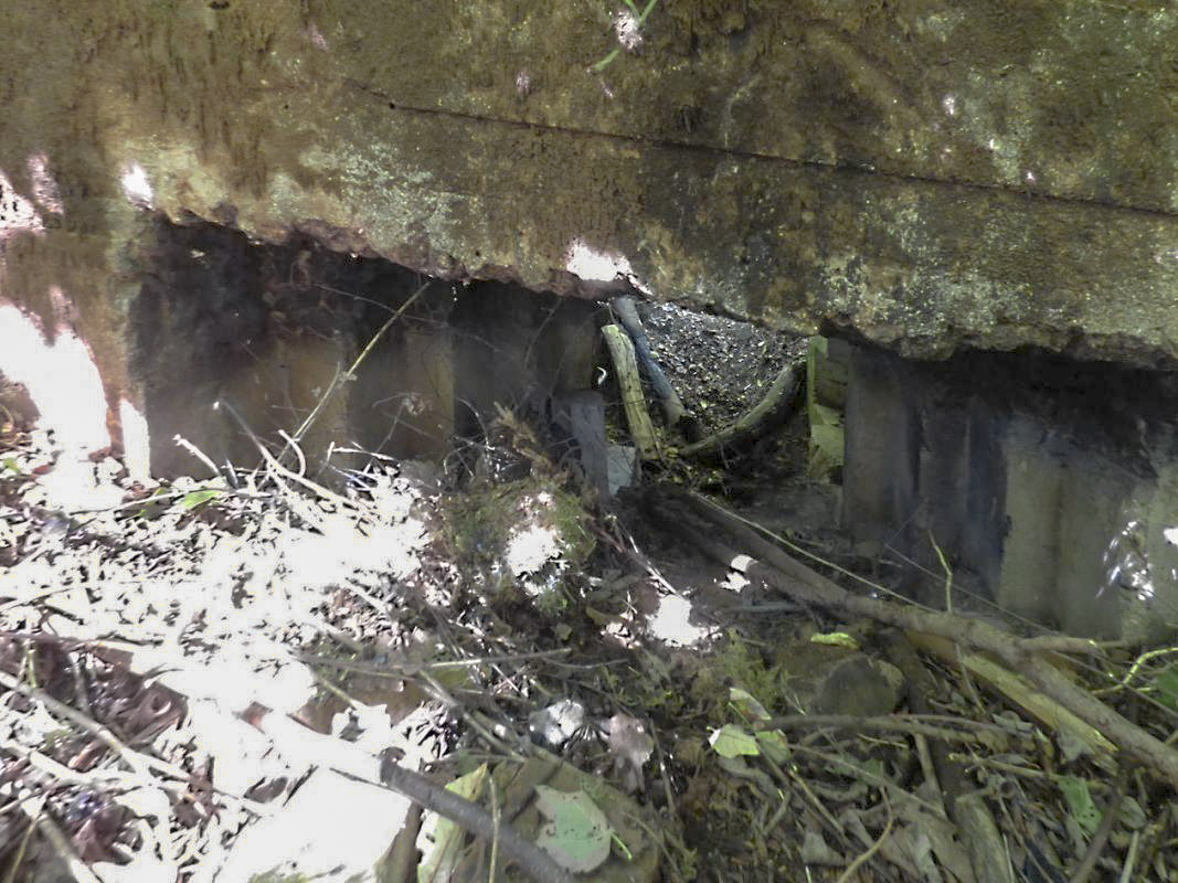 Ligne Maginot - BB71-E - CHAMPEAUX SUD - (Blockhaus pour canon) -  - JMBrams