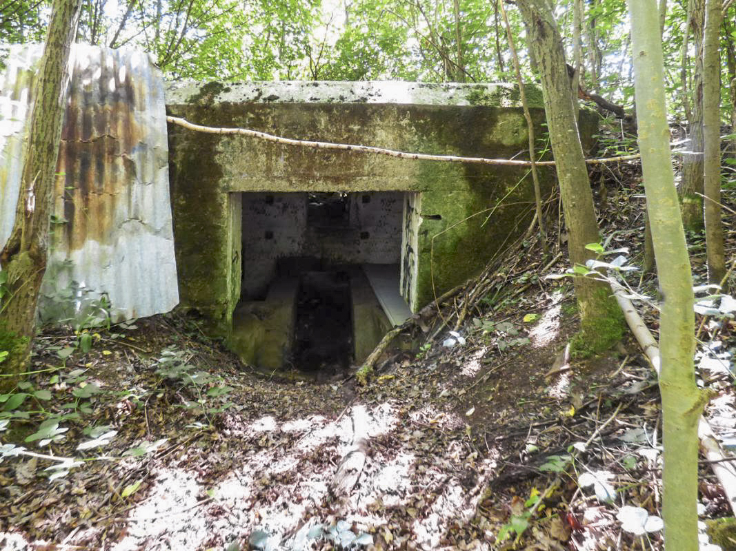 Ligne Maginot - BB71-E - CHAMPEAUX SUD - (Blockhaus pour canon) -  - JMBrams